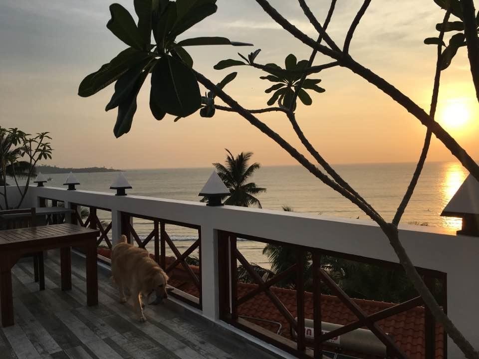 Hotel Aussie Swiss Weligama Exterior foto